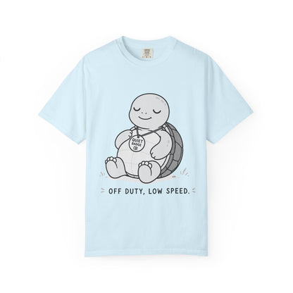 Quiet Turtle