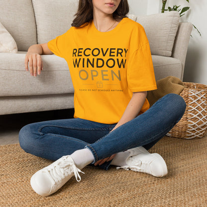 Recovery Window 3 T-shirt