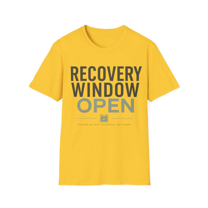 Recovery Window Sage T-shirt
