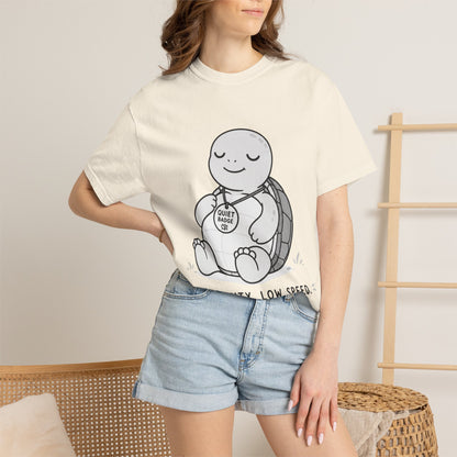 Quiet Turtle
