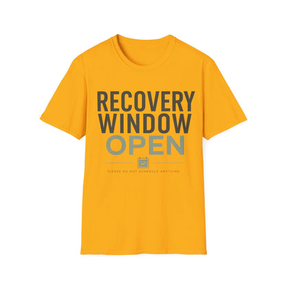 Recovery Window Sage T-shirt