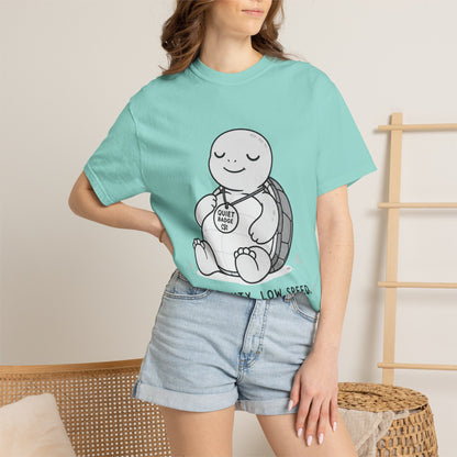 Quiet Turtle