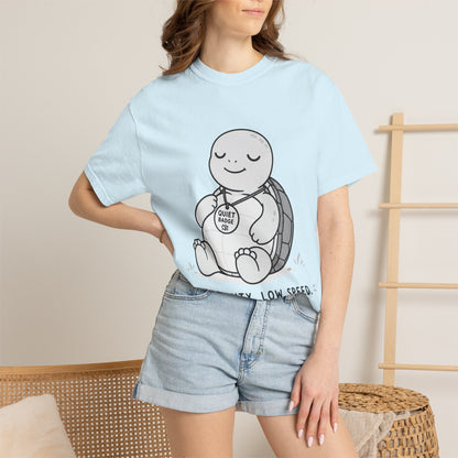 Quiet Turtle