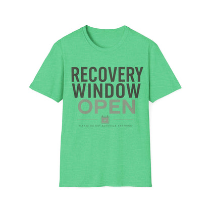 Recovery Window Sage T-shirt