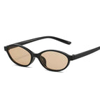 Bright Black Frame Light Tea