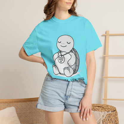 Quiet Turtle
