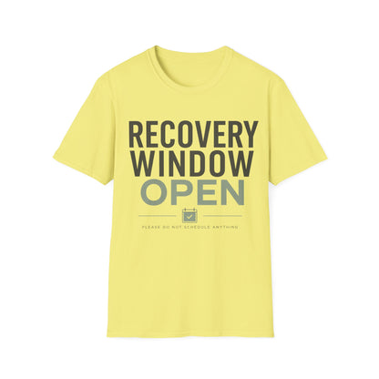Recovery Window Sage T-shirt