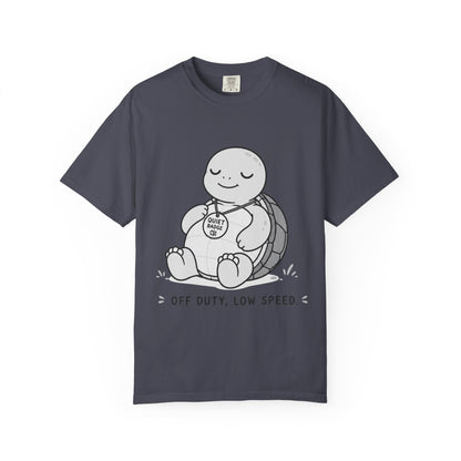 Quiet Turtle