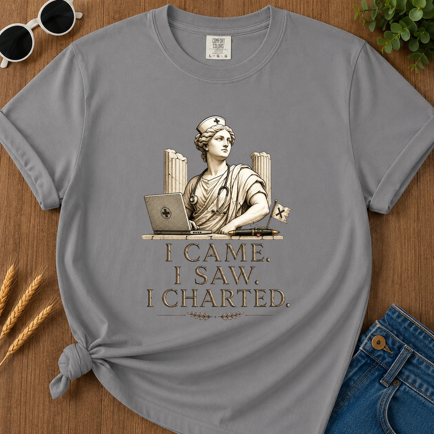 I Came I Saw I Charted T-Shirt - Grey